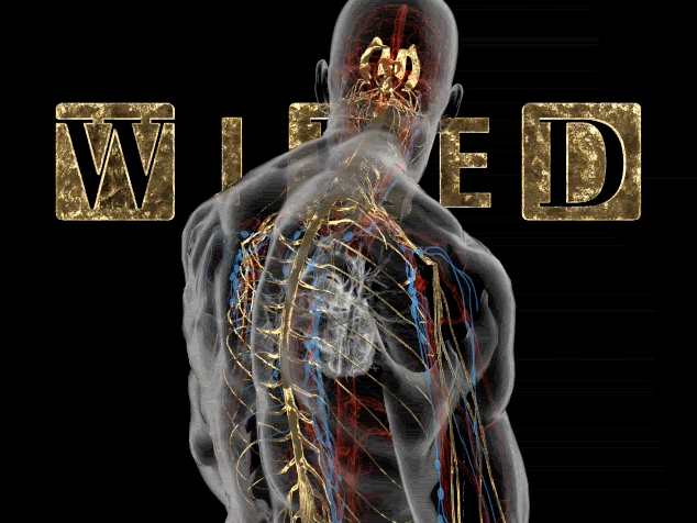 wired_cover